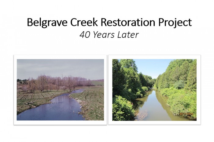 Figure 3. Belgrave Creek Restoration Project 40 Years Later.