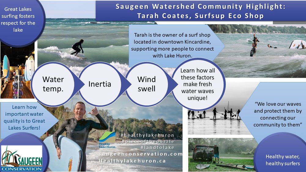 Surfing_Saugeen_Web.jpg