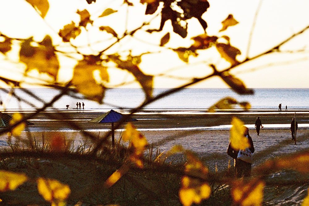 An autumn beach photo.