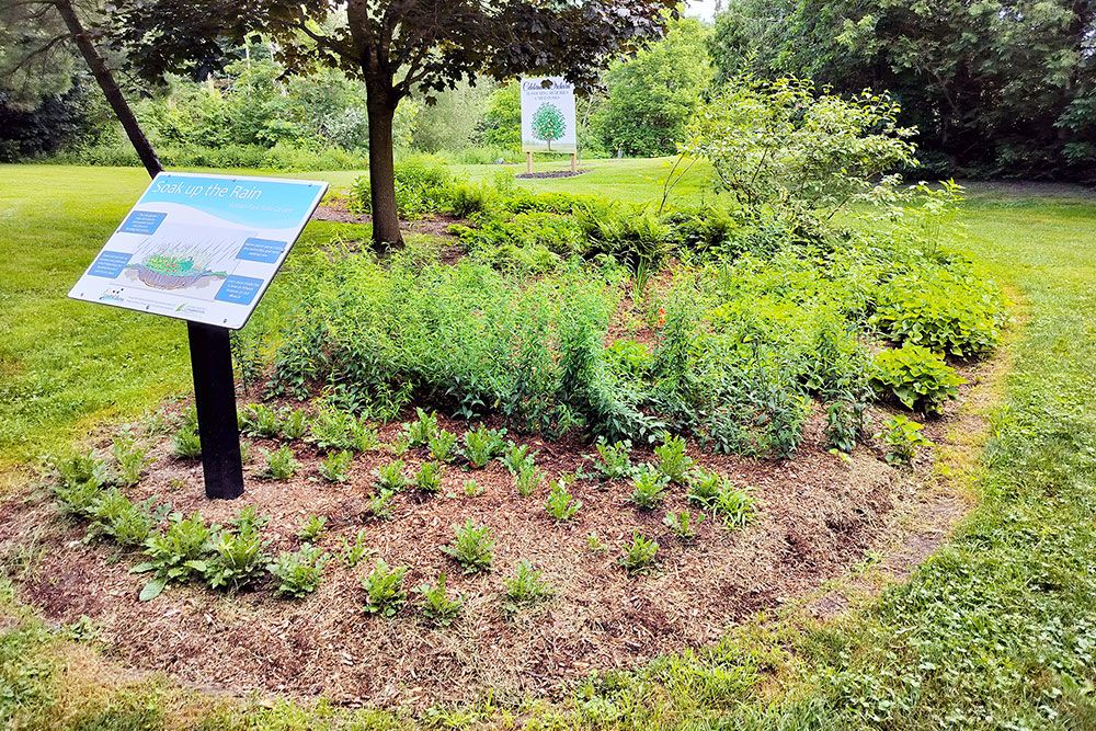 The rain garden at Sloman Park, Clinton.
